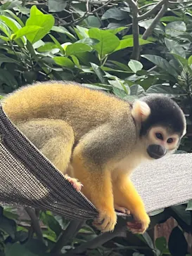 伊豆シャボテン動物公園に投稿された画像（2026/7/19）