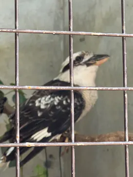 伊豆シャボテン動物公園に投稿された画像（2026/7/19）