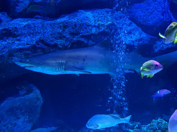 すみだ水族館に投稿された画像（2026/7/19）