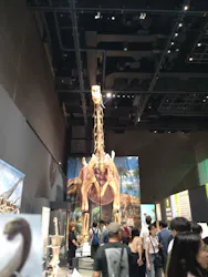 福井県立恐竜博物館に投稿された画像（2026/7/19）