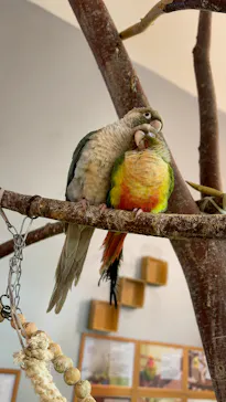 Moff animal cafe イオンモール幕張新都心店に投稿された画像（2026/7/19）