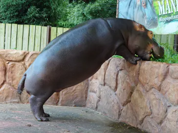 東武動物公園に投稿された画像（2026/7/19）