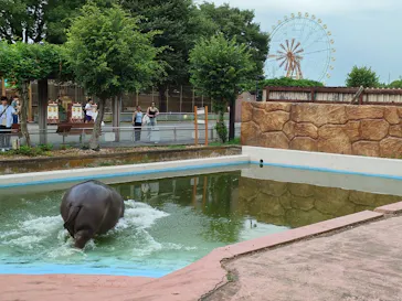 東武動物公園に投稿された画像（2026/7/19）