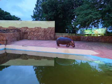 東武動物公園に投稿された画像（2026/7/19）