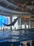 アクアワールド茨城県大洗水族館に投稿された画像（2026/7/19）