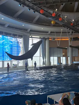 アクアワールド茨城県大洗水族館に投稿された画像（2026/7/19）