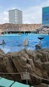 名古屋港水族館に投稿された画像（2026/7/19）
