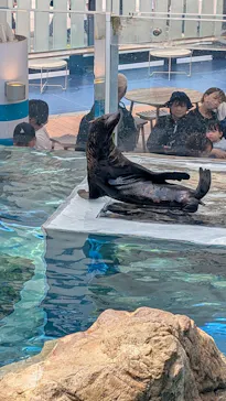 京都水族館に投稿された画像（2026/7/19）