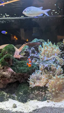 京都水族館に投稿された画像（2026/7/19）