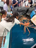 竹島水族館に投稿された画像（2026/7/19）
