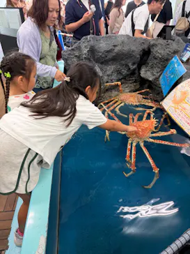 竹島水族館に投稿された画像（2026/7/19）
