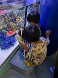 竹島水族館に投稿された画像（2026/7/19）