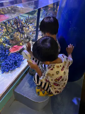 竹島水族館に投稿された画像（2026/7/19）