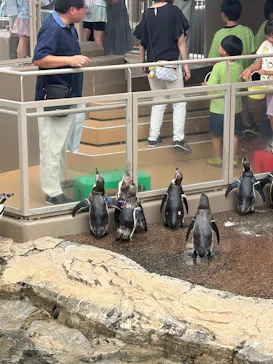 アクアワールド茨城県大洗水族館に投稿された画像（2026/7/19）