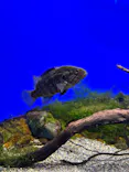 サンシャイン水族館に投稿された画像（2026/7/19）