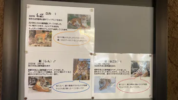 日立市かみね動物園に投稿された画像（2026/7/19）