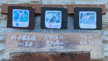 日立市かみね動物園に投稿された画像（2026/7/19）