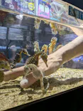 ゼロ距離水族館 伊勢シーパラダイスに投稿された画像（2026/7/19）