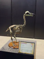特別展「超危険生物展　科学で挑む生き物の本気」に投稿された画像（2026/7/19）