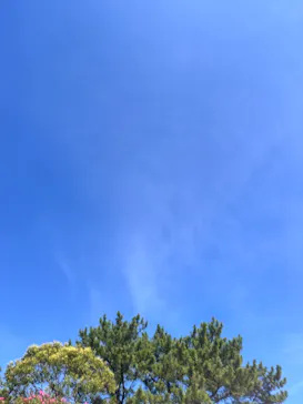 稲毛海浜公園（SUNSET BEACH PARK INAGE）に投稿された画像（2026/7/19）