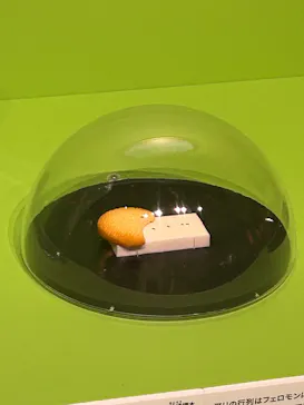 特別展「いきもの超ワールド展　国立科学博物館×ダーウィンが来た！」（国立科学博物館）に投稿された画像（2026/7/19）