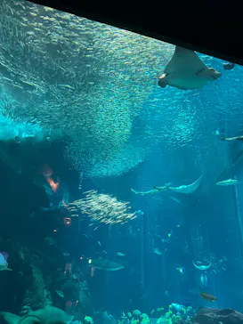 マリンワールド海の中道に投稿された画像（2026/7/19）