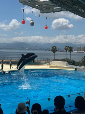 マリンワールド海の中道に投稿された画像（2026/7/19）