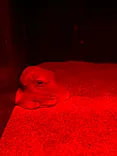 環境水族館アクアマリンふくしまに投稿された画像（2026/7/19）