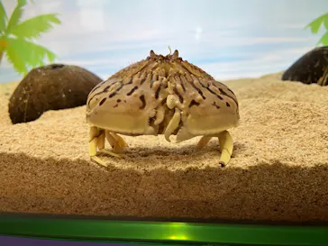 名古屋港水族館に投稿された画像（2026/7/19）