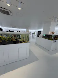広島もとまち水族館に投稿された画像（2026/7/19）