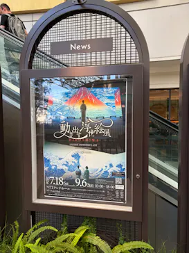 広島もとまち水族館に投稿された画像（2026/7/19）
