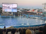 名古屋港水族館に投稿された画像（2026/7/19）
