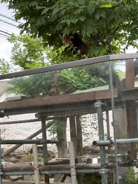 天王寺動物園に投稿された画像（2026/7/19）