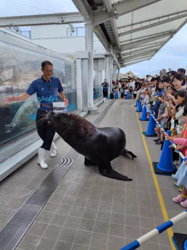 仙台うみの杜水族館に投稿された画像（2026/7/19）