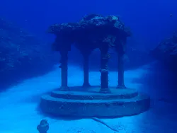 Diver's House（ダイバーズハウス） 竹内潜水堂に投稿された画像（2026/7/19）