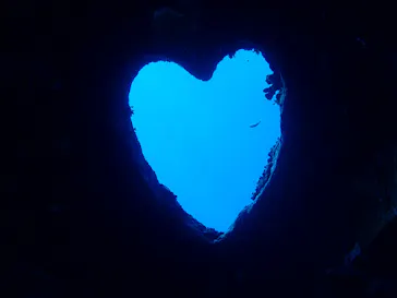 Diver's House（ダイバーズハウス） 竹内潜水堂に投稿された画像（2026/7/19）