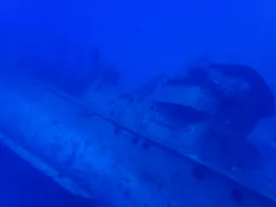 Diver's House（ダイバーズハウス） 竹内潜水堂に投稿された画像（2026/7/19）