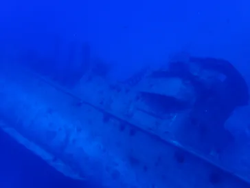 Diver's House（ダイバーズハウス） 竹内潜水堂に投稿された画像（2026/7/19）