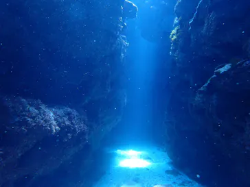 Diver's House（ダイバーズハウス） 竹内潜水堂に投稿された画像（2026/7/19）