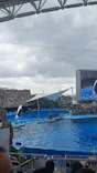 名古屋港水族館に投稿された画像（2026/7/19）