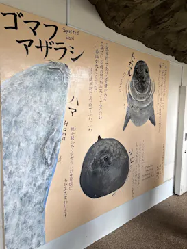 京都水族館に投稿された画像（2026/7/19）