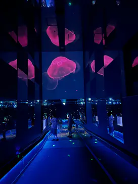 すみだ水族館に投稿された画像（2026/7/19）