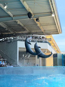 新江ノ島水族館に投稿された画像（2026/7/19）