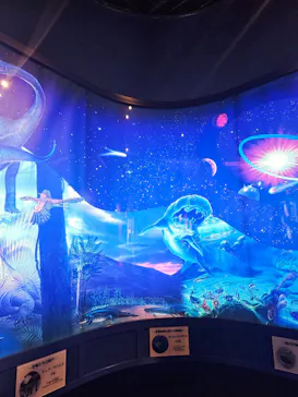 ミュージアムパーク茨城県自然博物館に投稿された画像（2026/7/19）
