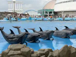 名古屋港水族館に投稿された画像（2026/7/19）