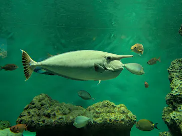 葛西臨海水族園に投稿された画像（2026/7/19）