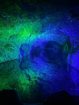 地底王国「美川ムーバレー」に投稿された画像（2026/7/19）