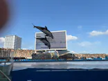 名古屋港水族館に投稿された画像（2026/7/19）