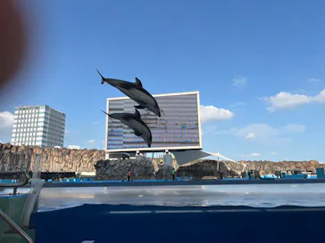 名古屋港水族館に投稿された画像（2026/7/19）