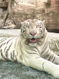 東武動物公園に投稿された画像（2026/7/19）